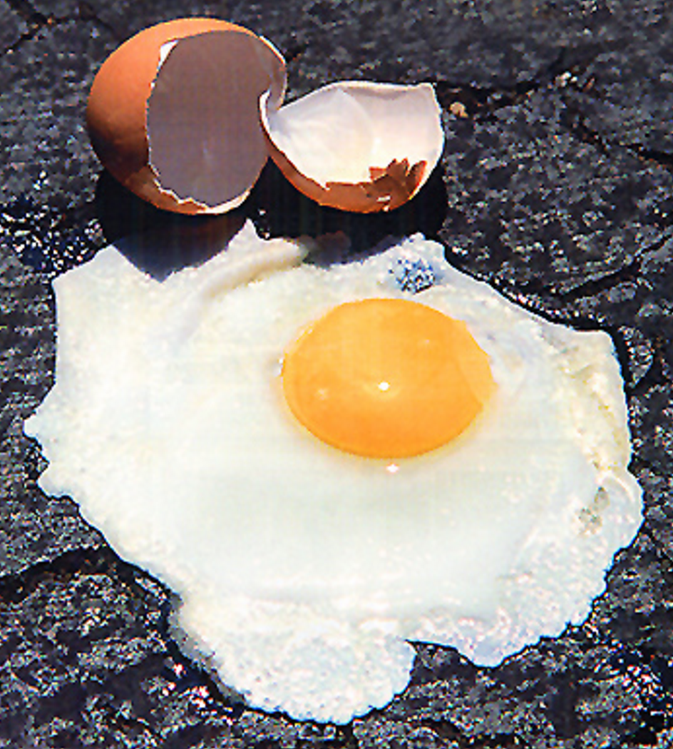 Fried egg on pavement