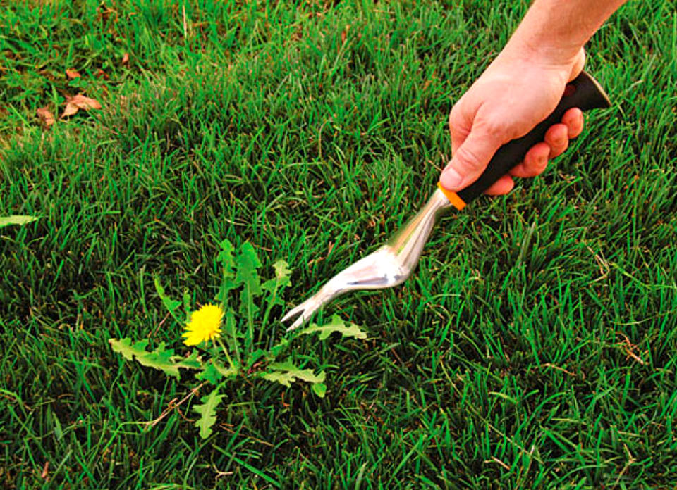 <body><p>Get the satisfaction of pulling weeds out with your bare hands without breaking your back. This uniquely shaped aluminum alloy pick curves to reach the roots of nearly any weed in the lawn or flower bed—while you maintain an easy grip on the comfortably contoured handle. Backed by a Fiskars' lifetime guarantee, you can rest easy knowing that the hard-working (and rust-proof!) tool won't break under pressure. <em>Available on <a rel="nofollow noopener" href=" http://www.amazon.com/Fiskars-70606935J-Softouch-Weeder/dp/B003TJ9G40/?_encoding=UTF8&camp=1789&creative=9325&linkCode=ur2&tag=bovi01-20&linkId=CPMLSJTKR4X3I4IA" target="_blank" data-ylk="slk:Amazon;elm:context_link;itc:0;sec:content-canvas" class="link ">Amazon</a>; $14.</em> </p></body>