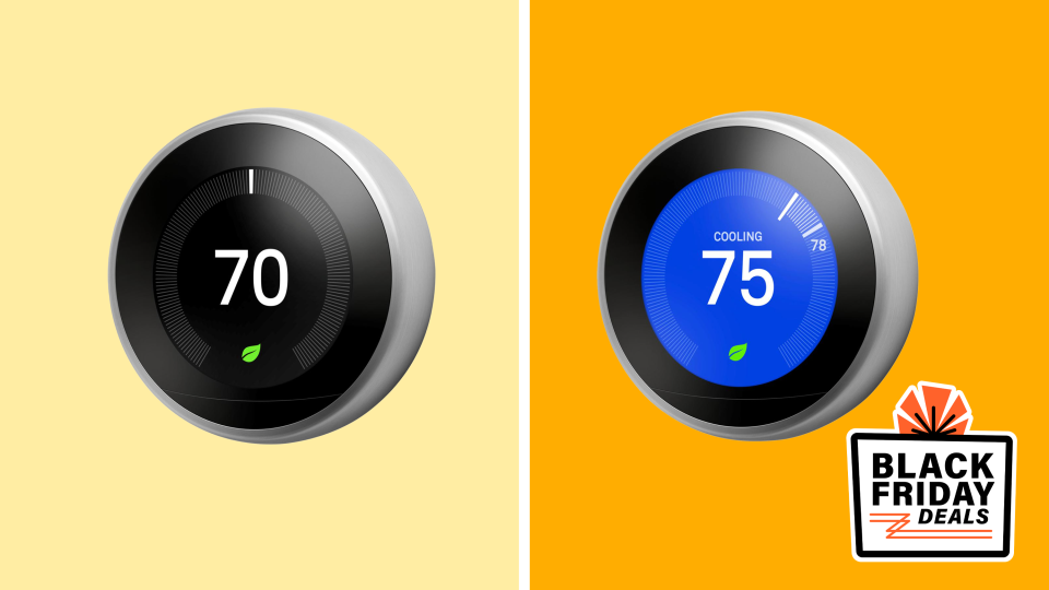 HSN Black Friday: Save big on Google Nest.