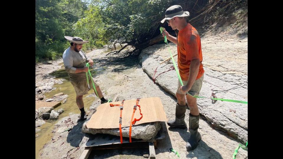 The 1,000-pound rock containing the skull was cut from the ravine in West Point, about 150 miles northeast of Jackson, officials said.