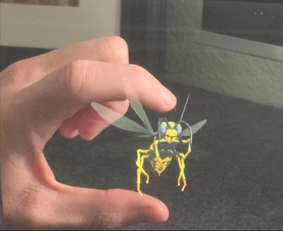 This demonstration of IKIN's holographic technology shows a buzzing wasp that can be interacted with.