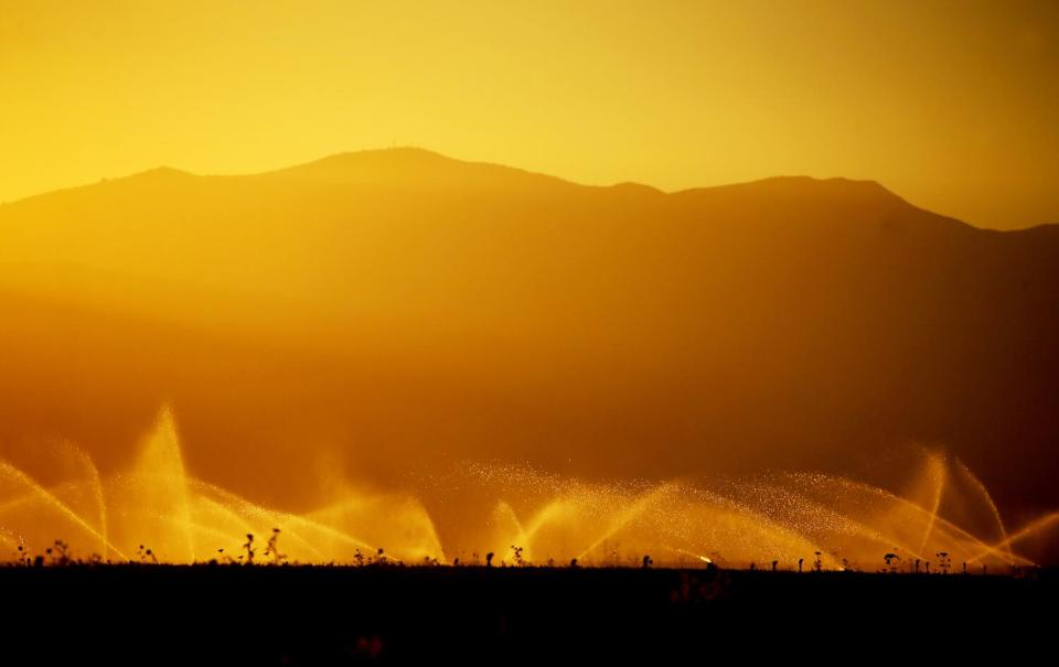 Sprinklers spray a carrot field in the Cuyama Valley.