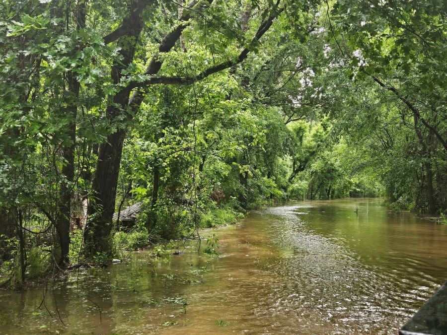 Flooding on CR 4480. Photo courtesy of Point Fire Department.