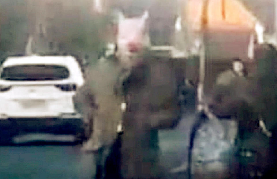 Police are hunting a yob who has been terrifying young children by accosting them outside school while wearing a sinister-looking PIG MASK (SWNS)