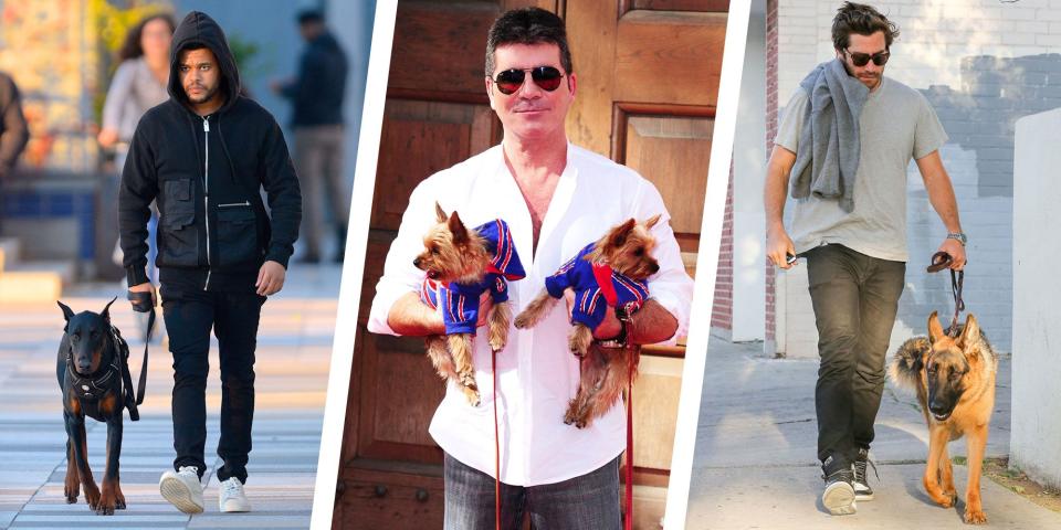 24 Photos of Celebrities With Their Dogs