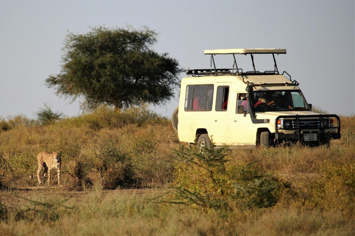 Here are some of the best African safari countries. Pictured: Safari van next to a cheetah in Tanzania.