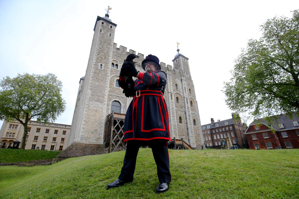 <p>Raven master Chris Scaife holds aloft Branwen, one of the two latest additions to the tower's conspiracy of ravens, in front of the White Tower at the Tower of London, which is reopening amidst the easing of coronavirus restrictions after its longest closure since World War Two. Picture date: Wednesday May 19, 2021.</p>
