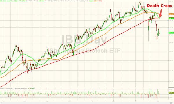 iShares Nasdaq Biotechnology ETF (IBB) 淨值市價走勢圖　圖片來源：Zerohedge