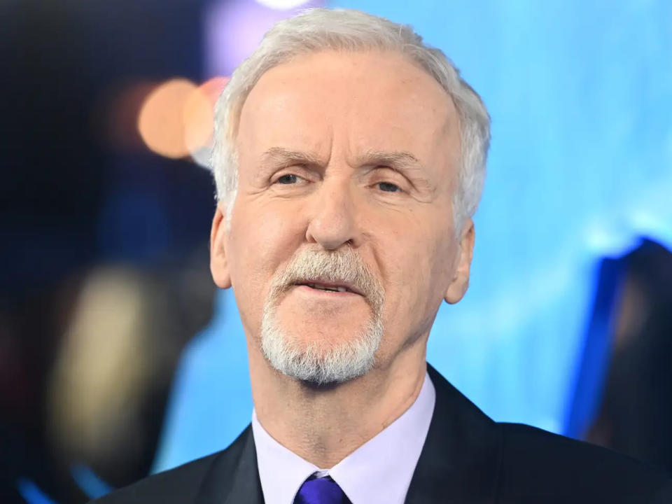 Hollywood-Filmemacher und Unterwasserforscher James Cameron forderte mehr Regulierung für Tiefseeschiffe. - Copyright: Dave J Hogan/Getty Images