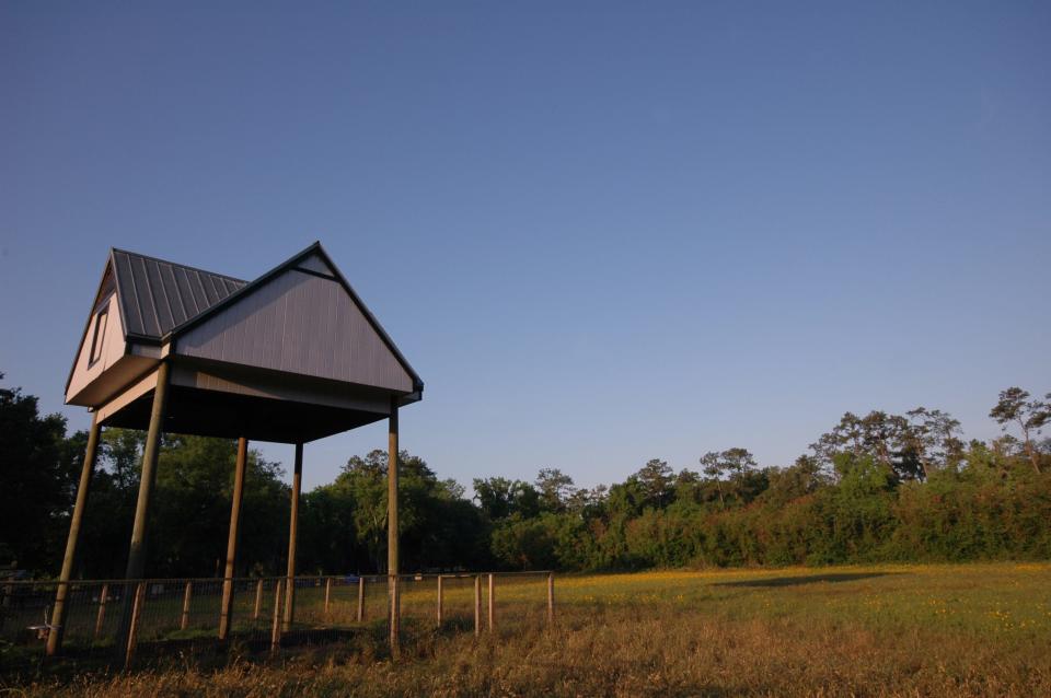 The bat house at the University of Florida is home to more than 450,000 Brazilian free-tailed bats.