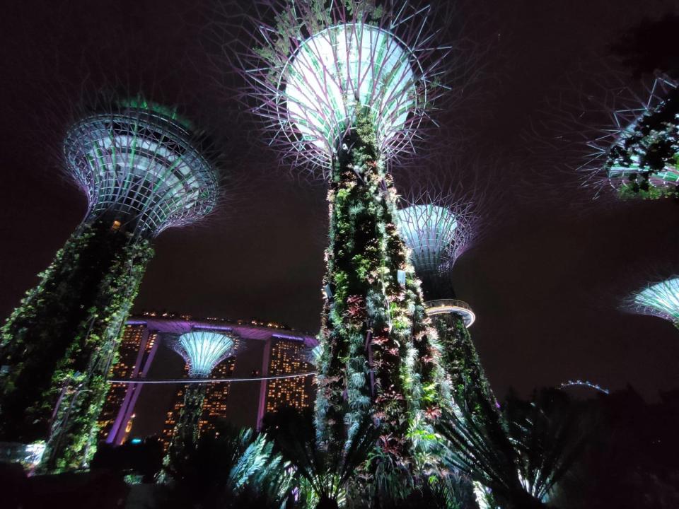 Gardens by the Bay night time show