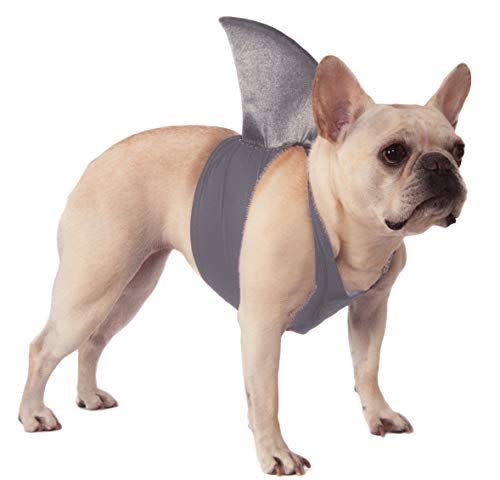 Shark Fin Dog Costume