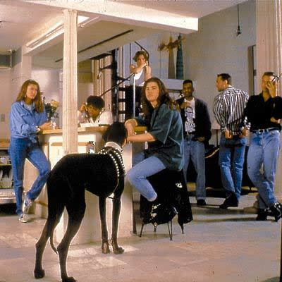 Six people and a dog on and around a staircase