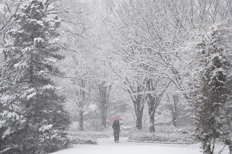 Una persona camina por un parque cubierto de nieve en Goyang, Corea del Sur, el 30 de diciembre de 2023. (AP Foto/Lee Jin-man)