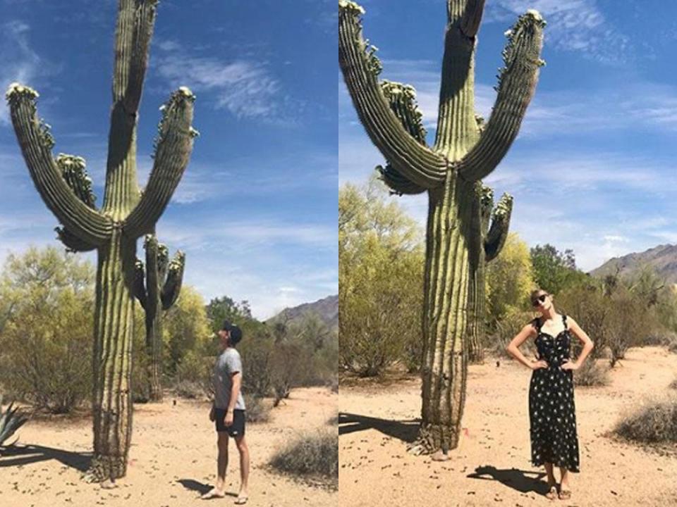 joe alwyn taylor swift cactus