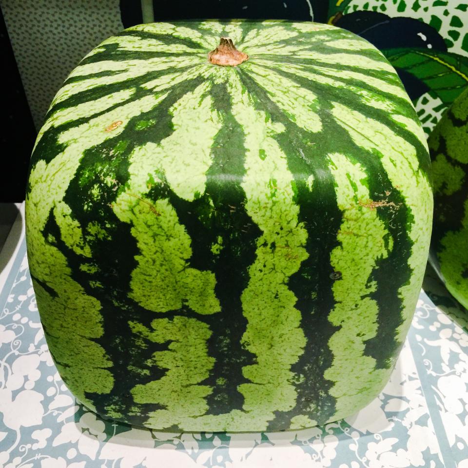 So sieht sie aus, die eckige Wassermelone. (Bild: Getty Images)