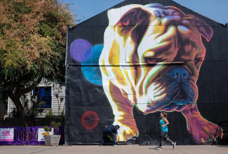 El artista Patrick Kane McGregor, de Denver, da los últimos retoques a su mural 'Bouguereau', que lleva el nombre de su perro, durante el festival Wide Open Walls, en R Street, en Sacramento, en 2021. Paul Kitagaki Jr./pkitagaki@sacbee.com