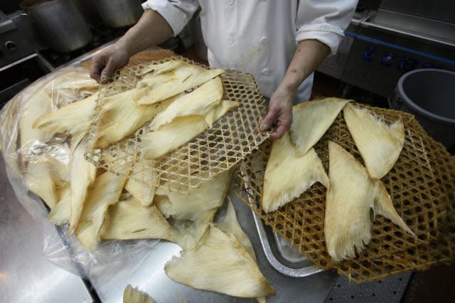 Food Hong Kong Shedding Shark Fin