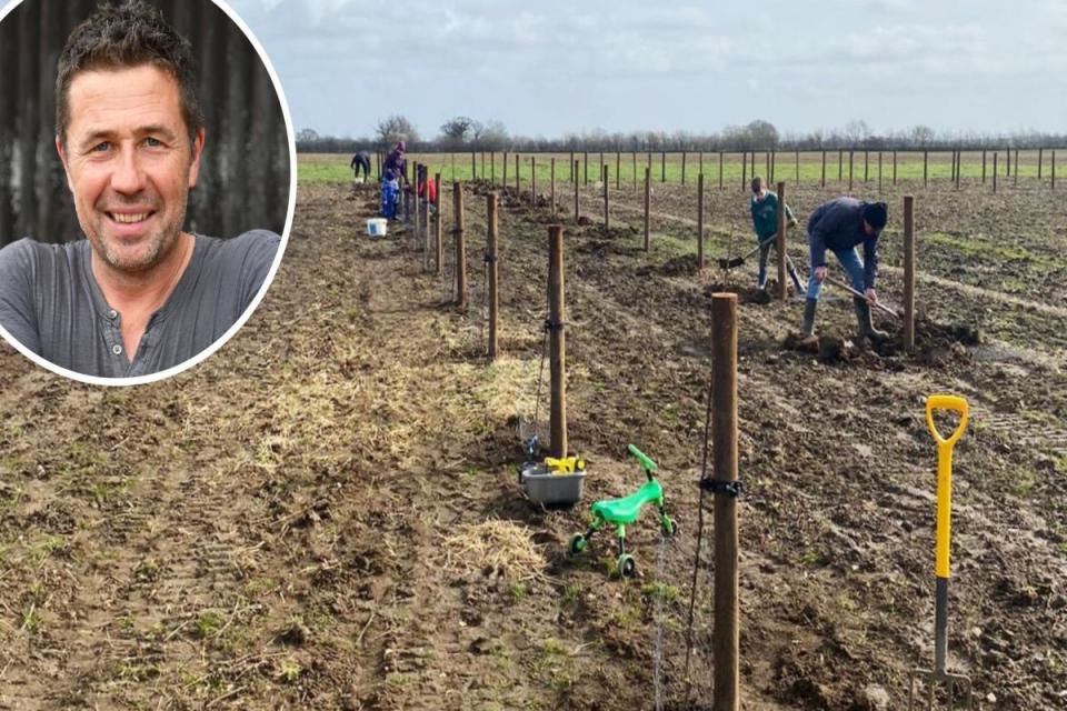 Jeremy Buxton has planted a fruit orchard at Eves Hill Farm near Reepham - Picture: Jeremy Buxton / Newsquest <i>(Image: Jeremy Buxton / Newsquest)</i>