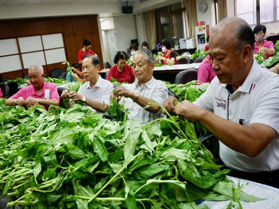 迎接端午木屐踩街活動，台中萬和宮志工挑揀250斤麻芛，準備端午煮麻芛湯讓大家消暑。（圖：萬和宮提供）