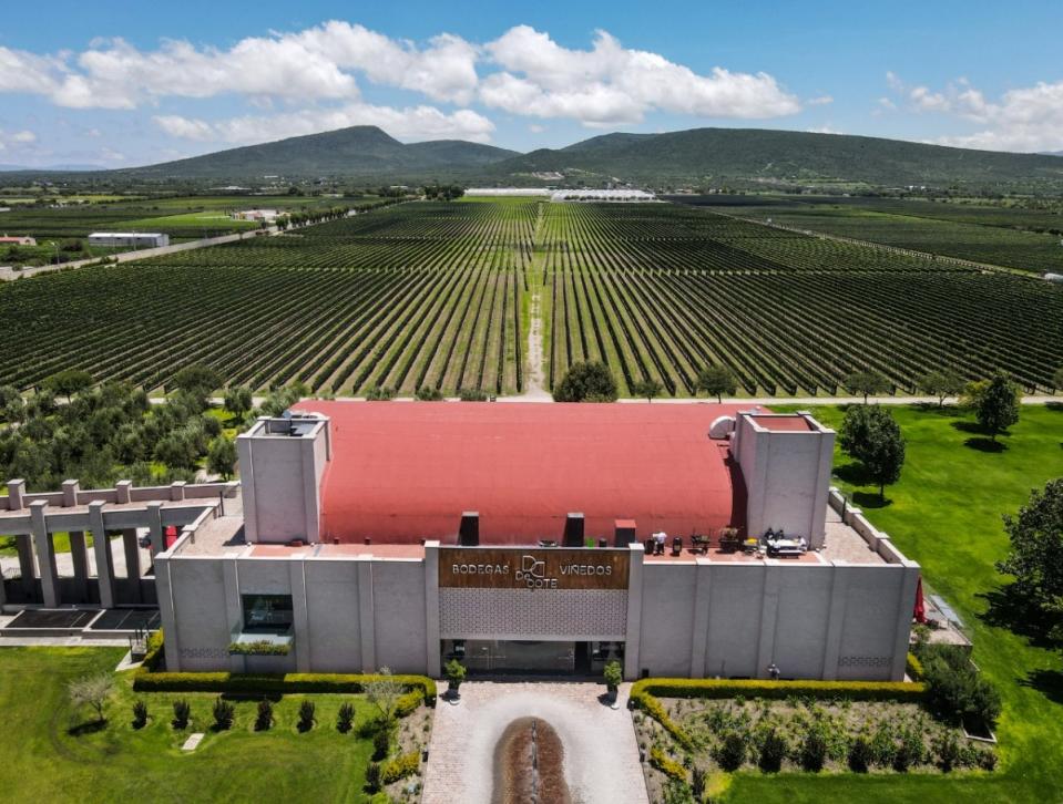 De Cote, bodegas sofisticas y de mucho lujo. Viñedos en Querétaro.