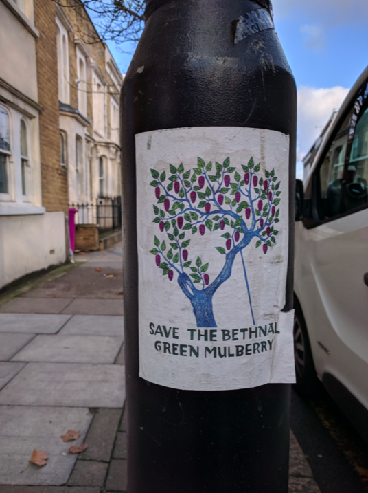 A campaign poster to save the tree on a lamppost in Bethnal Green. (Wikipedia)