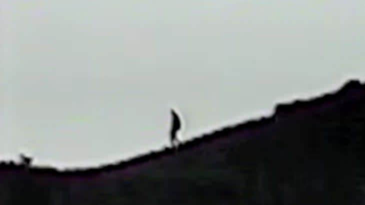 Marble Mountain Bigfoot Sighting