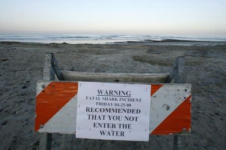 A sign posted by local authorities in Cardiff, California April 26, 2008 warns against entering the water following a fatal shark attack yesterday in Solana Beach. REUTERS/Mike Blake/Files