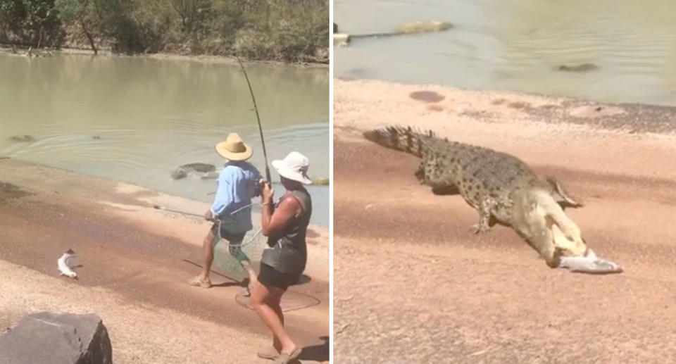 Daring fishermen shown having a barramundi snatched by crocodile in the Northern Territory.