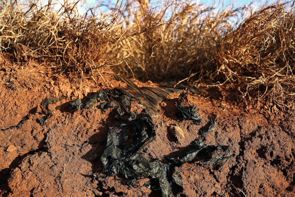 PHOTO: A view of vacant land, with plastic still in the ground from when the land was part of a sugar cane and pineapple plantation, Aug. 6, 2024, in Lahaina, Hawaii. (Mario Tama/Getty Images)