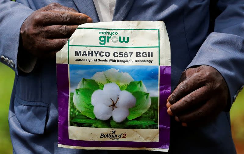 David Mangondu holds a package of genetically modified pest resistant at a Bt cotton variety farm during a Reuters interview, in Kimbimbi village of Kirinyaga