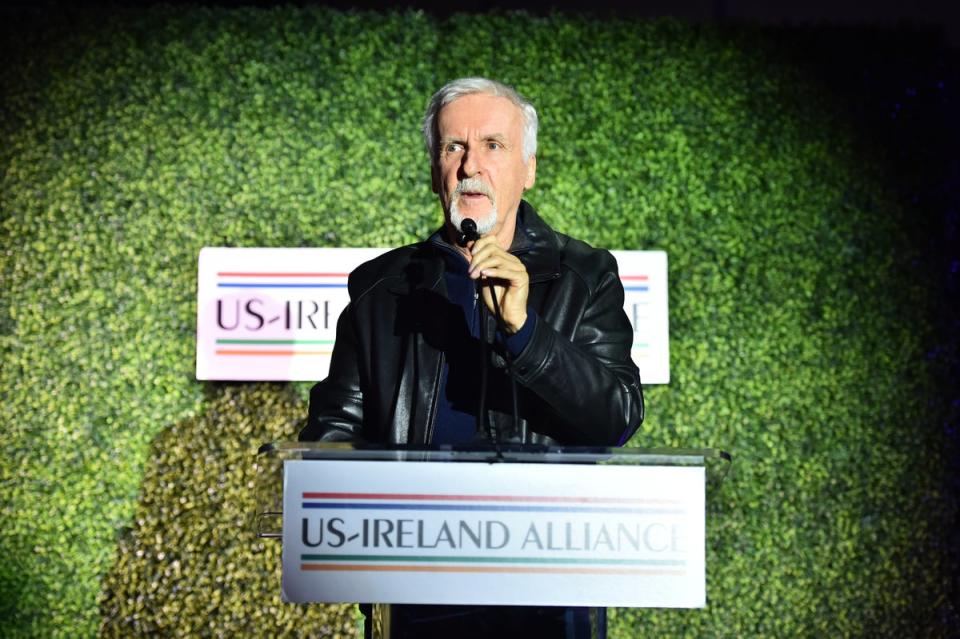 Director James Cameron, while introducing Avatar VFX expert Richie Baneham, mentioned the Dubliner’s three boys and family – a sense of community imbued the Irish awards, with the indigenous and expat industry celebrating one year after record nominations (Getty Images for US-Ireland Alliance)
