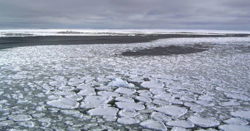 7月份南極海冰面積，創下44年來新低紀錄。（圖／達志／美聯社）