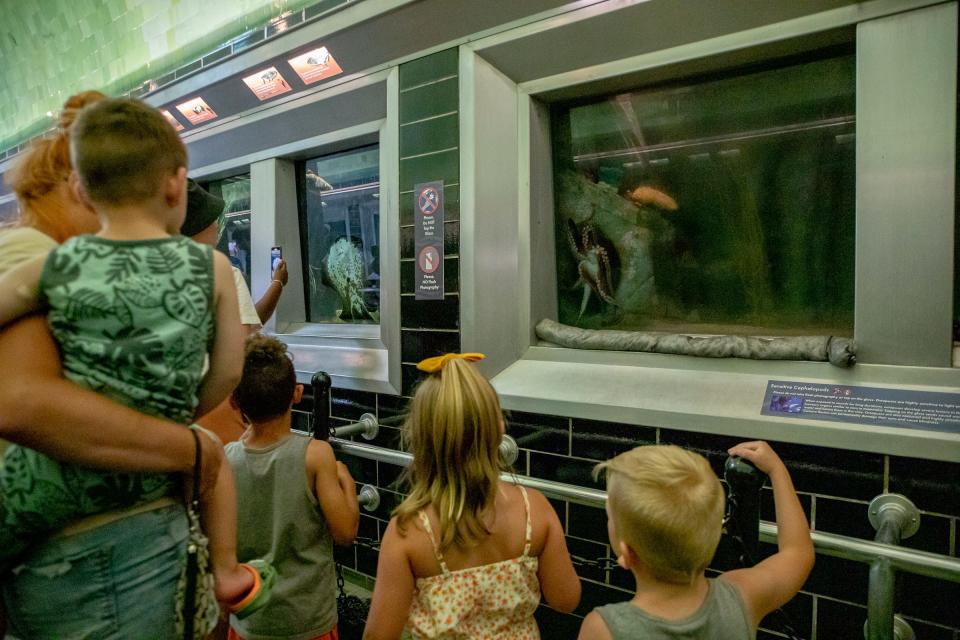 The Belle Isle Aquarium will be hosting an afternoon of family fun on Saturday.