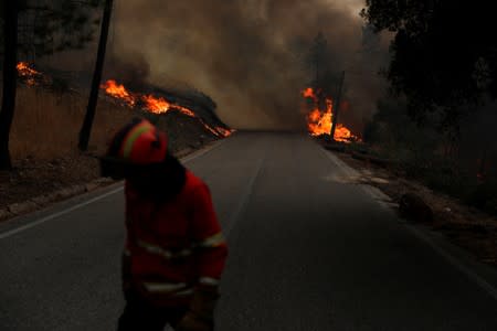 A firefighter helps to put out a forest fire in Chaveira