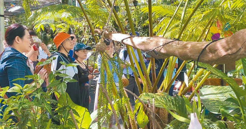 台東縣大武太湖原生植物園收藏繁殖800多種台灣原生種植物。（圖／中國時報蔡旻妤攝）