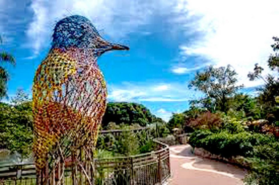 Pinecrest Gardens, la joya botánica histórica del sur de la Florida, anuncia con orgullo su primera exhibición Avian Oasis.