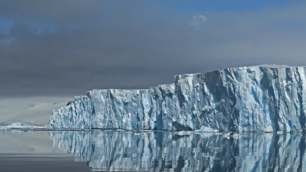 The floating ice shelf currently preventing the rapid disintegration of the Thwaites glacier (British Antarctic Survey)
