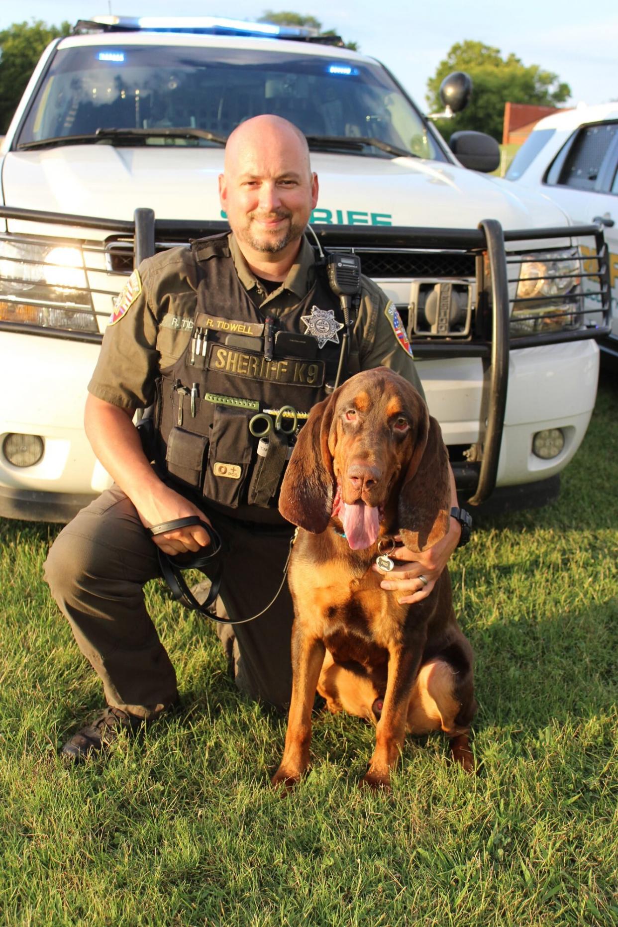 bloodhound that rescued dog