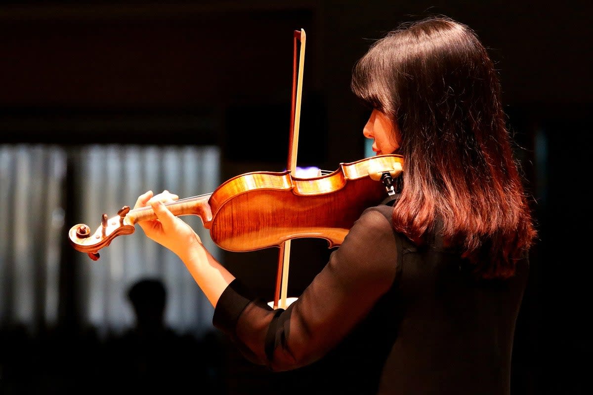 Stock image of a violin player  (@manseok KimPixabay)