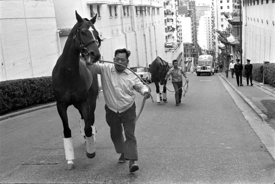 現時座落於跑馬地山光道的香港賽馬會會所，在 1970 年代仍然是馬房，馬伕不時會帶着馬匹，直接在山光道上斜返馬房。 (Photo by Chan Kiu/South China Morning Post via Getty Images)
