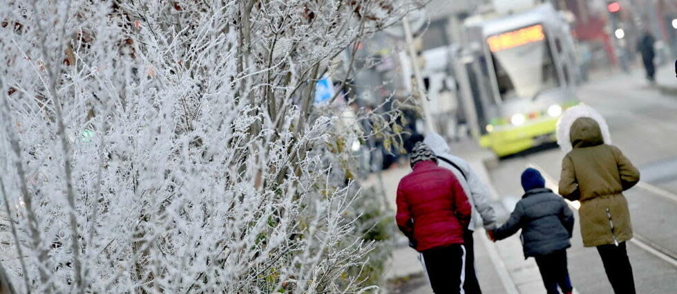 Quelques flocons sont attendus sur une partie de la France (photo d'illustration).  - Credit:Rémy PERRIN / MAXPPP / PHOTOPQR/LE PROGRES/MAXPPP