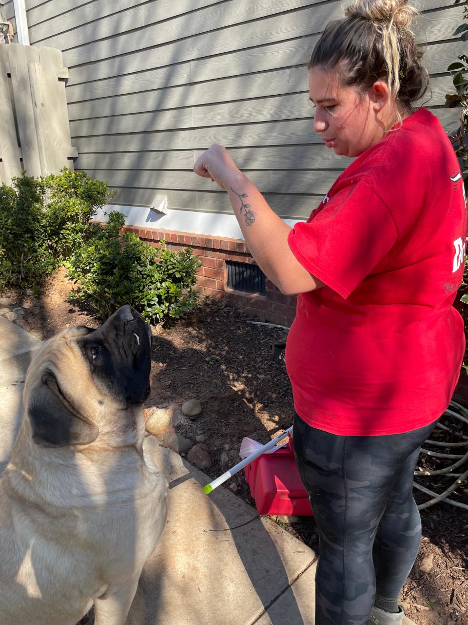 Cheyenna Cadle with Call of Dooty befriends an English mastiff named Amos during a service call in Evans.