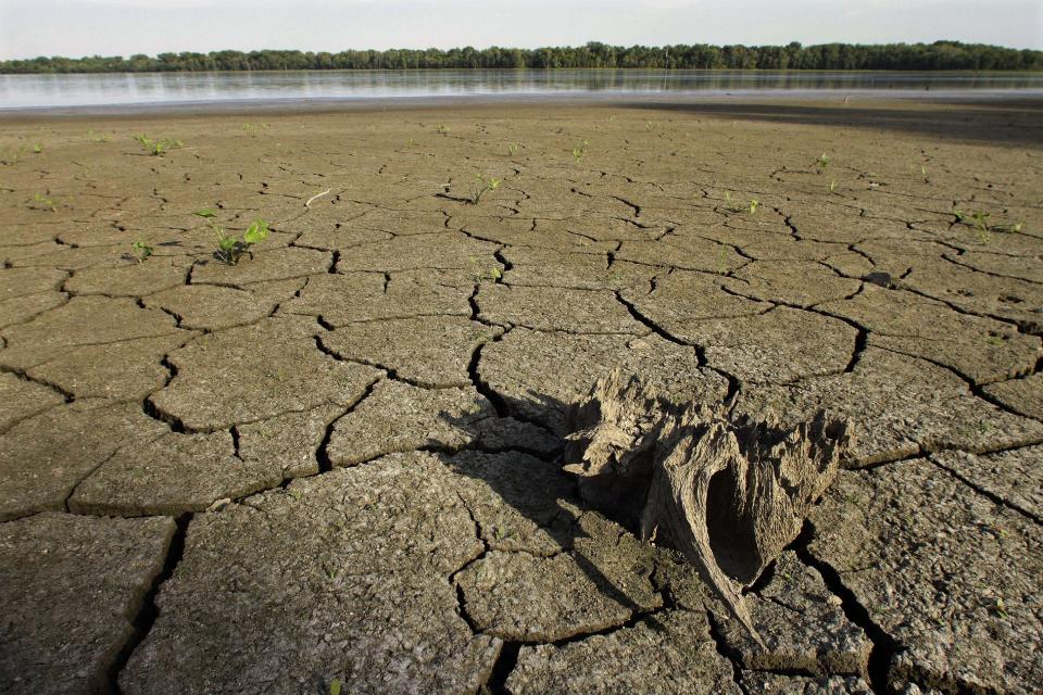 In this Aug. 22, 2012, drought condition water levels have taken their toll on the wildlife at Anderson Lake State Fish & wildlife Area near Astoria, Ill. According to the latest drought report released Thursday, Aug. 23, 2012, nearly all of Illinois, Nebraska, Kansas and Missouri are in extreme or exceptional drought, with Illinois showing the most-dramatic climb in those categories, spiking 17 percentage points in one week, to 96.72 percent, according to the map. (AP Photo/Seth Perlman)