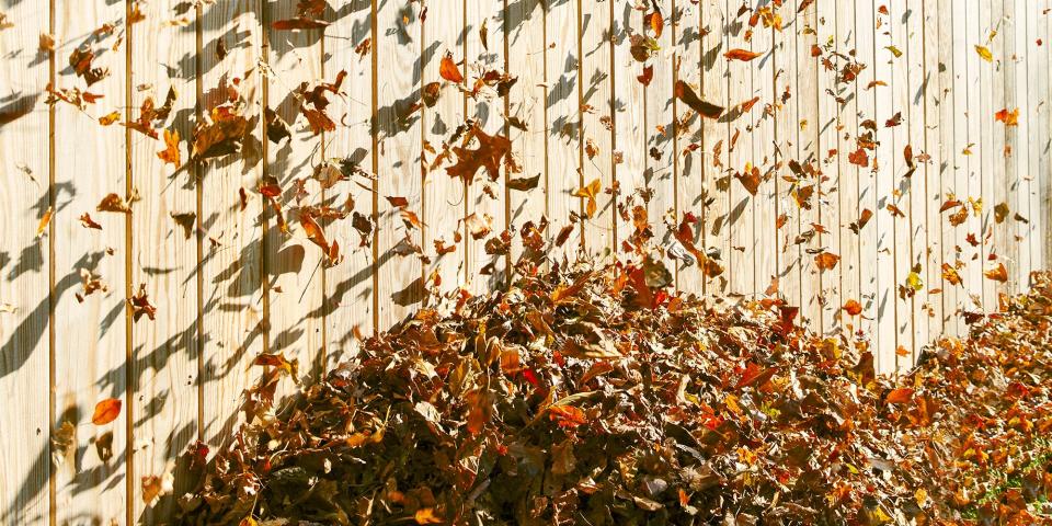 We Found the 8 Best Leaf Blowers That'll Make Yard Work an Absolute Breeze