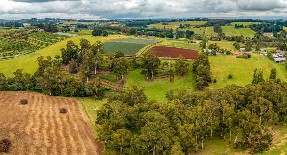 Wandin shot from above, showing trees and paddocks.