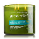 <p>Give the gift of tranquility and stress relief with this eucalyptus spearmint candle. </p><p>Buy it <a rel="nofollow noopener" href="http://www.bathandbodyworks.com/product/?productId=31340926" target="_blank" data-ylk="slk:here;elm:context_link;itc:0;sec:content-canvas" class="link ">here</a> for $13 (originally $23).</p>