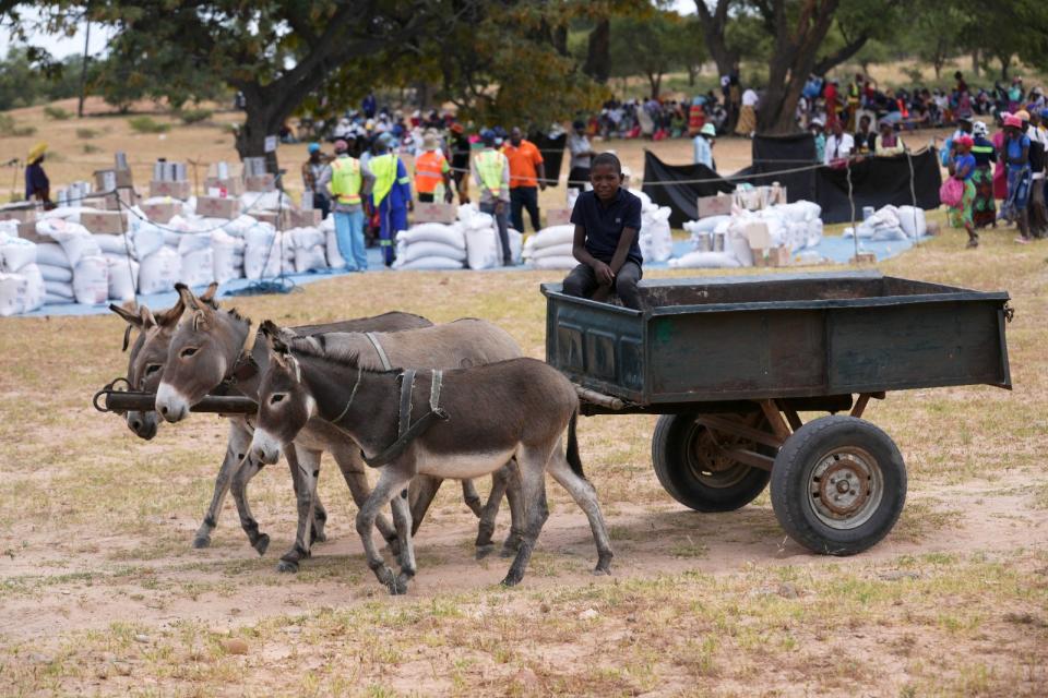 2024年3月22日，辛巴威西南部曼圭區（Mangwe），一名男童坐驢車去領國際援助的糧食。美聯社