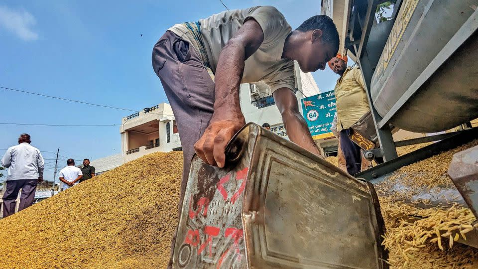 Workers in India sift through rice grains in capital New Delhi. - Vijay Bedi/CNN