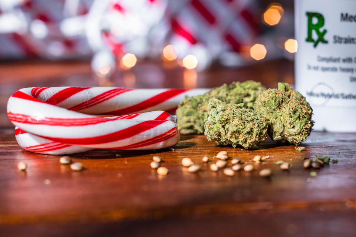 Medical marijuana buds up close with peppermint candy and bokeh lights on wood table (GETTY)